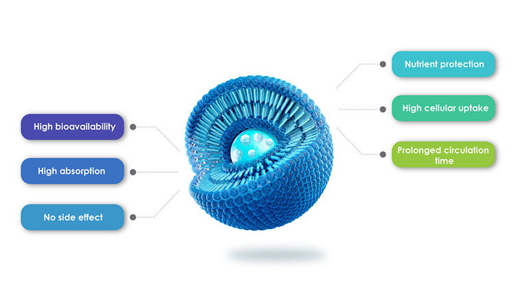 Vantagens de produtos lipossomais