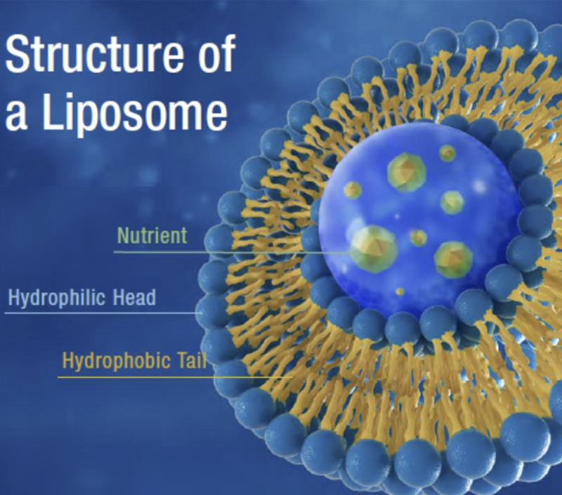 Estabilidade melhorada