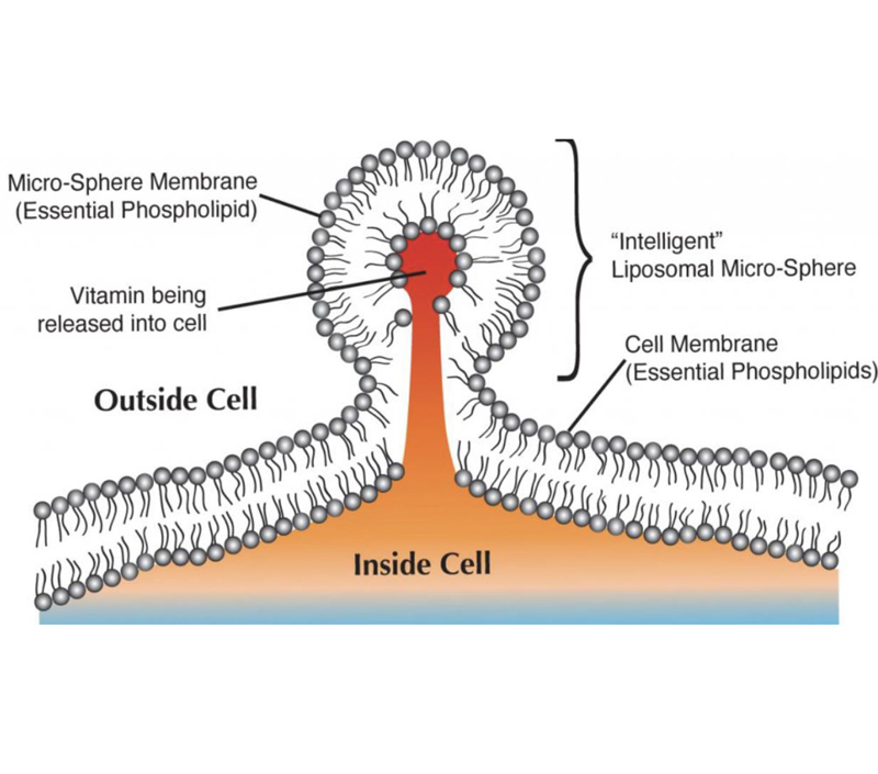 Taxa de absorção dupla