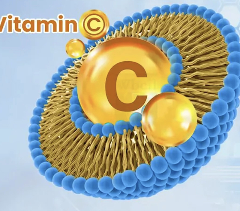 Estrutura de encapsulamento