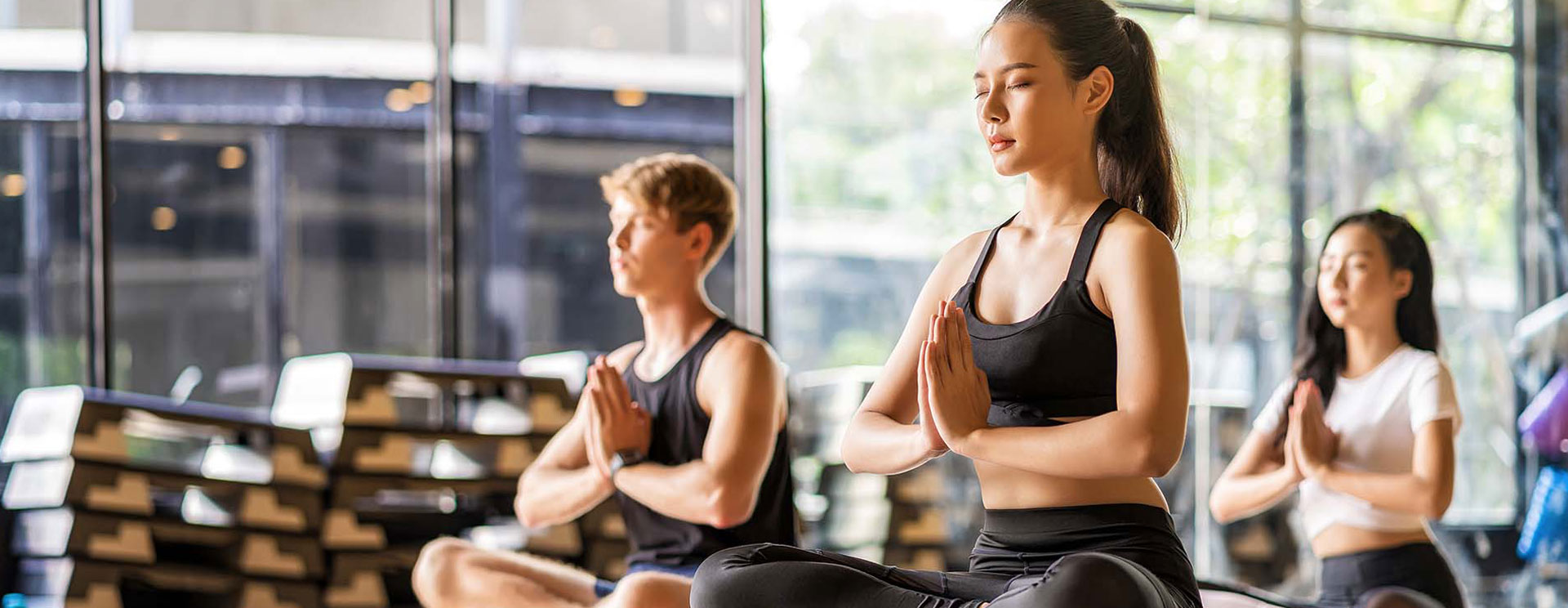 Minerais Lipossomais