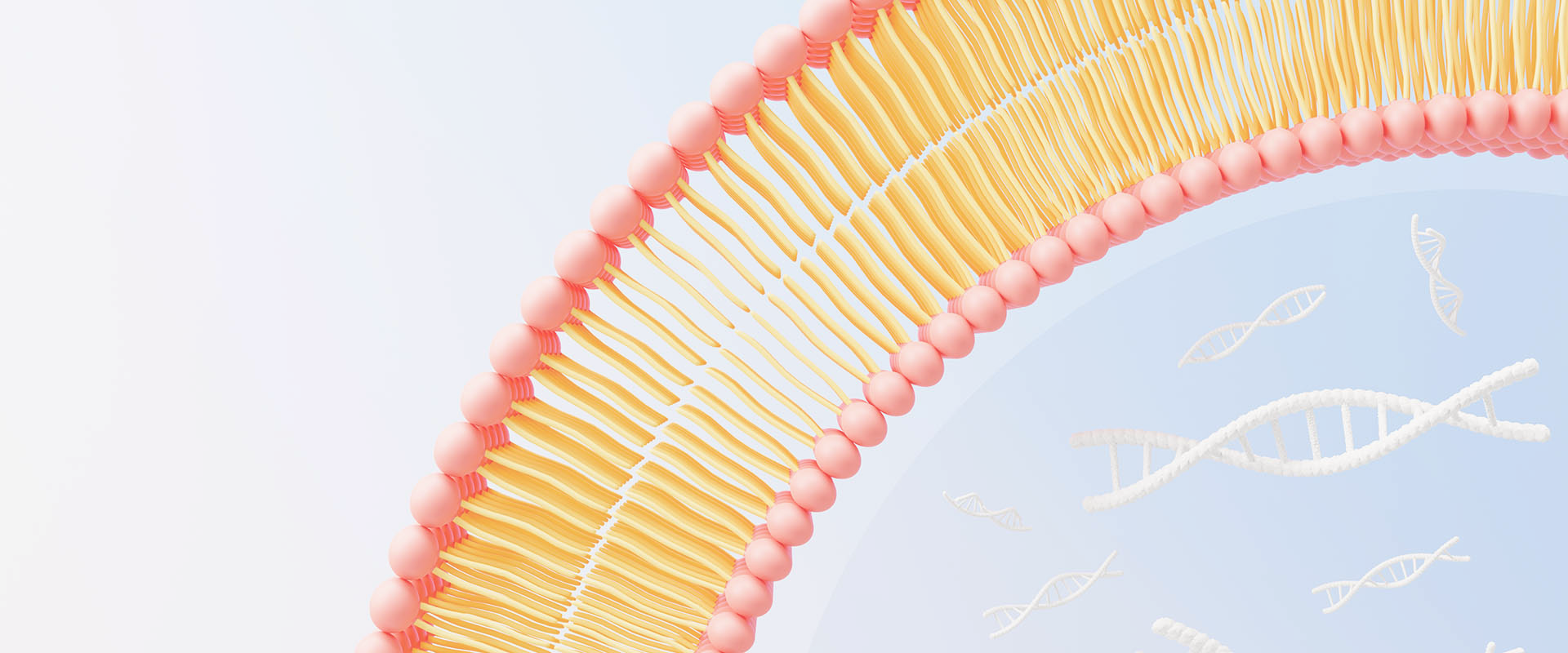 O que são vitaminas lipossômicas