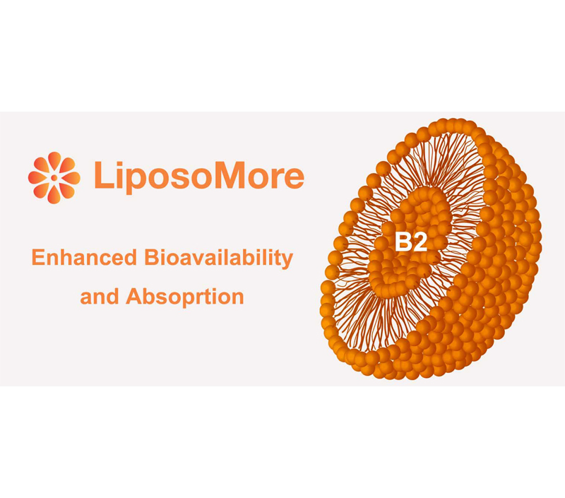 Biodisponibilidade e absorção aprimoradas