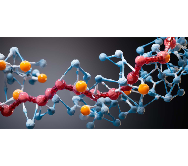 Melhora o metabolismo celular