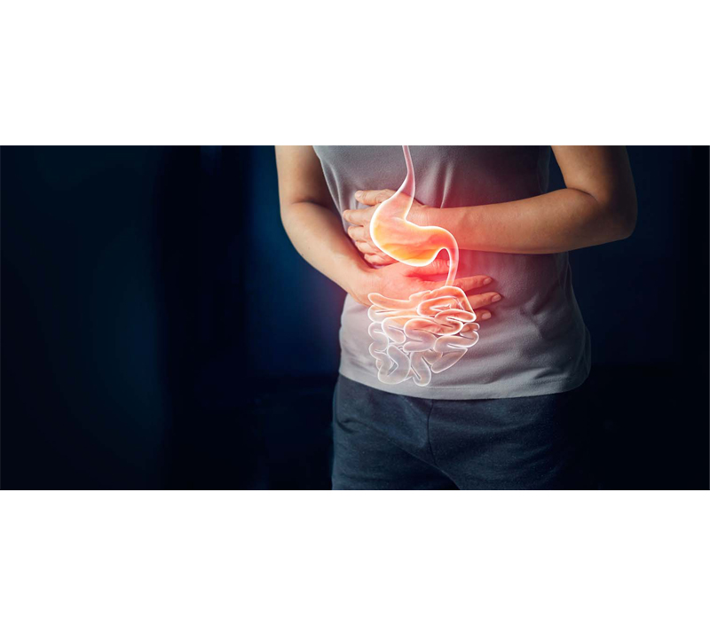 Gentil no sistema digestivo