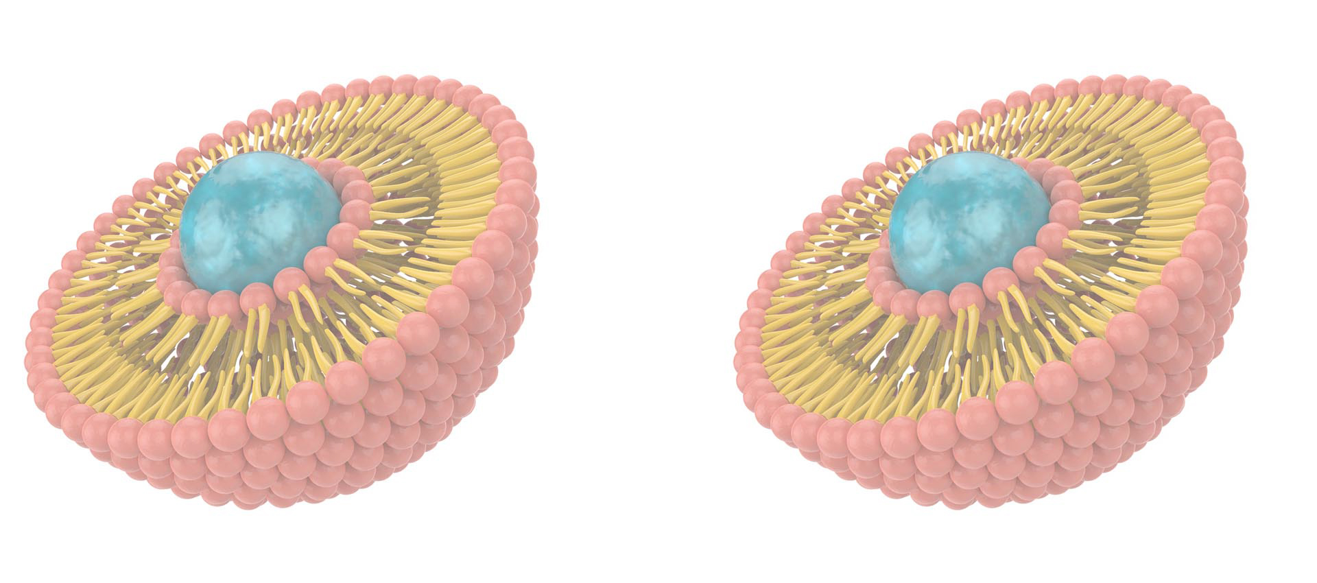 Complexo Lipossomal Vitamina B