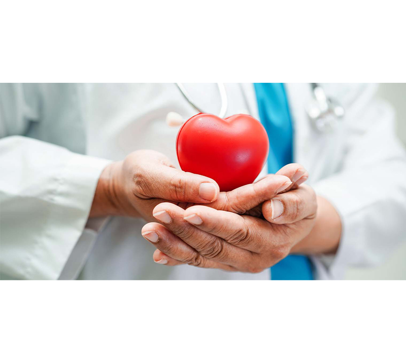 Suporta Saúde Cardiovascular