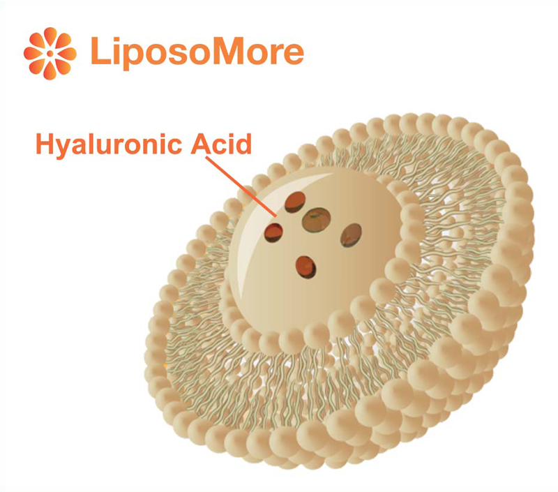 Absorção aprimorada e biodisponibilidade