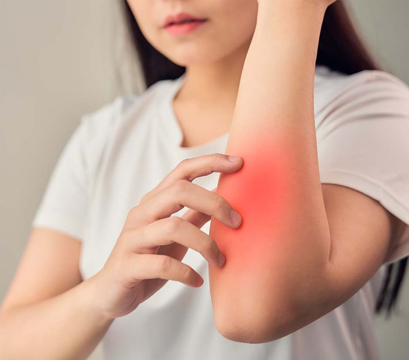 Função imunológica e equilíbrio da inflamação