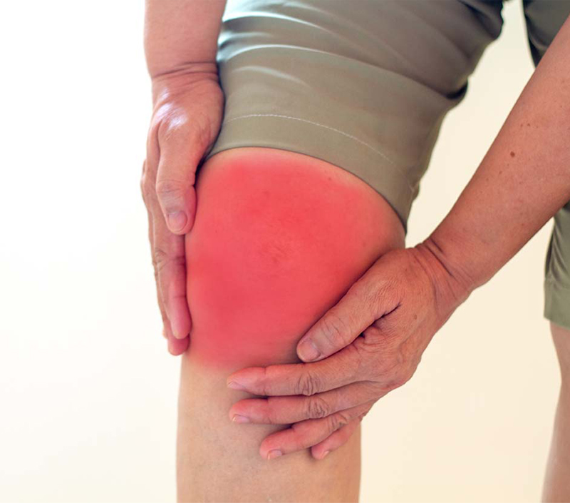 Biodisponibilidade Superior para Máxima Eficácia