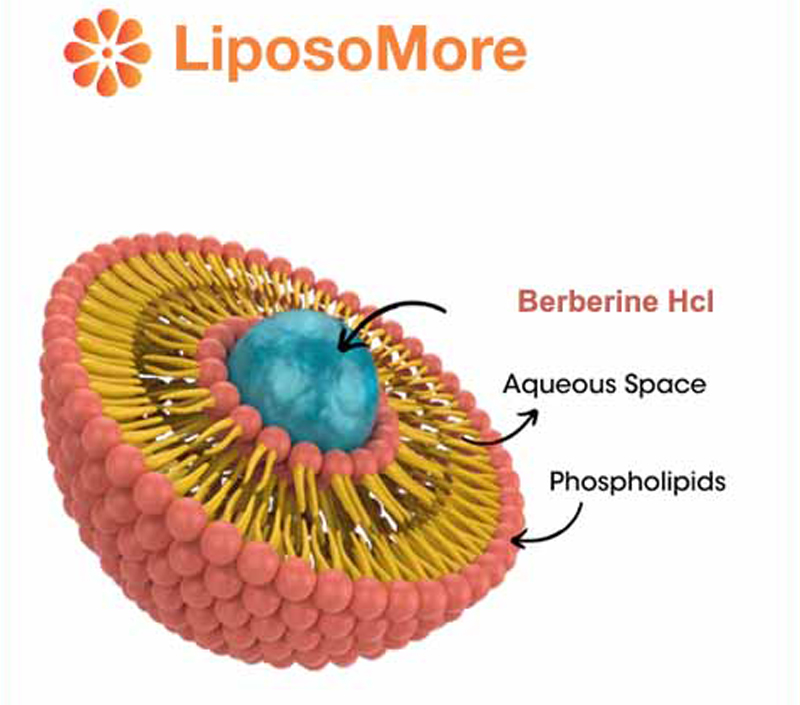 Suporta colesterol e saúde cardiovascular
