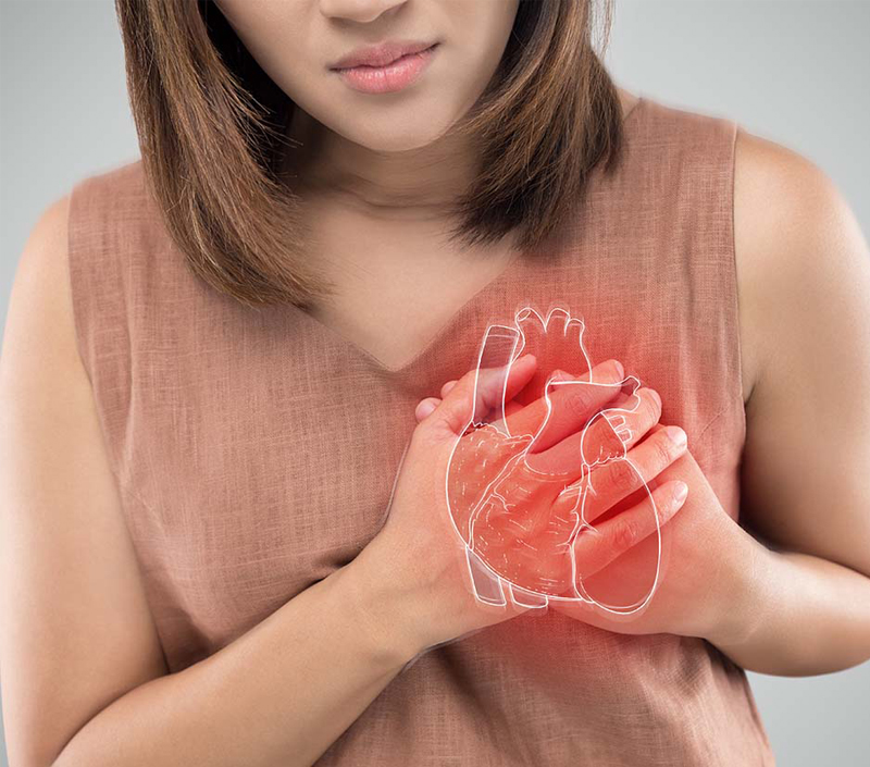 Proteção cardiovascular e vascular