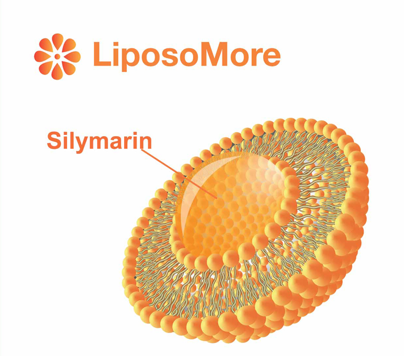 Biodisponibilidade aprimorada e absorção celular