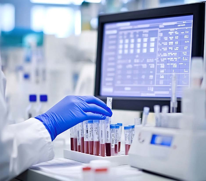 Biodisponibilidade de ferro na recuperação de anemia