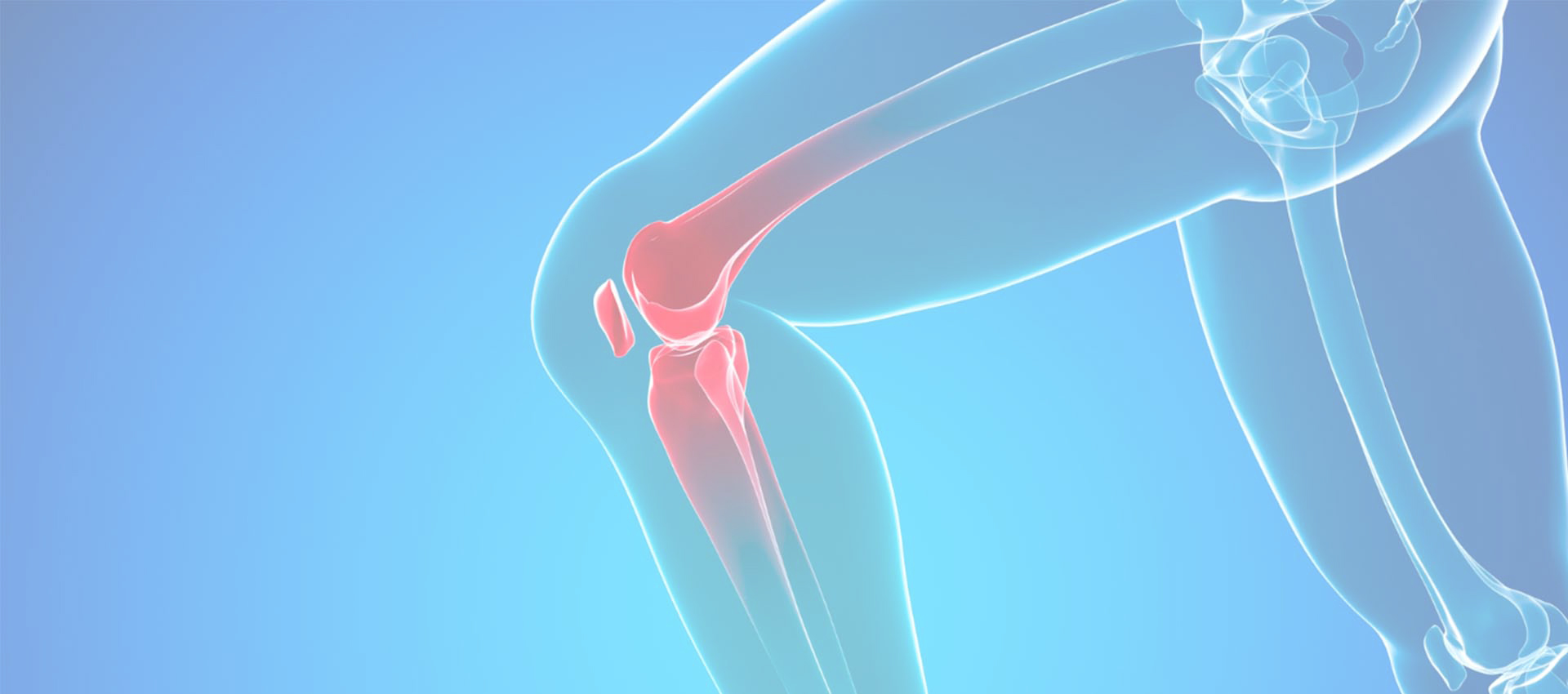 Colágeno Lipossomal Tipo II