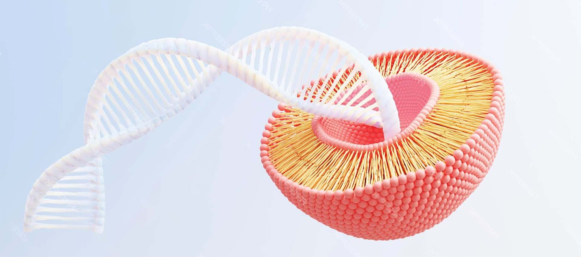 Pirofosfato férrico lipossômico