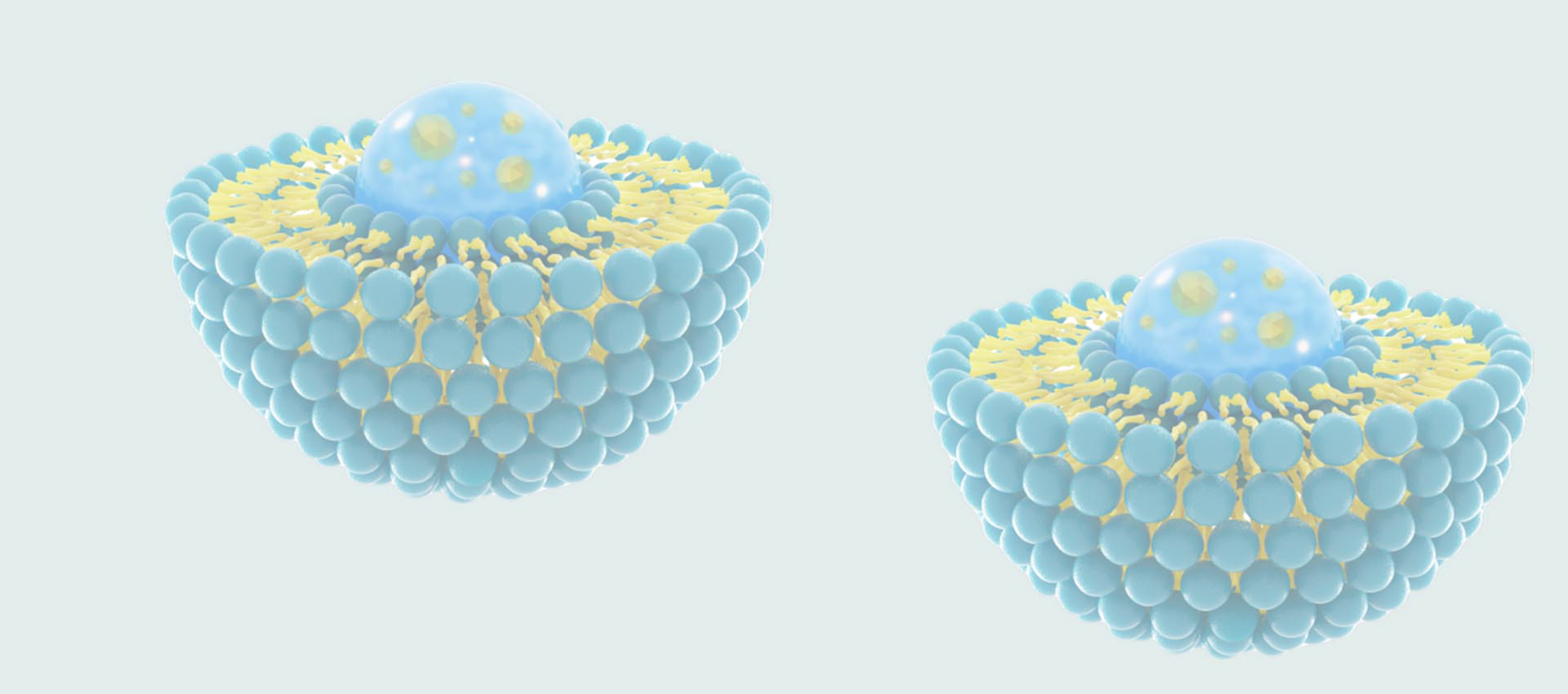 Glutationa Lipossomal