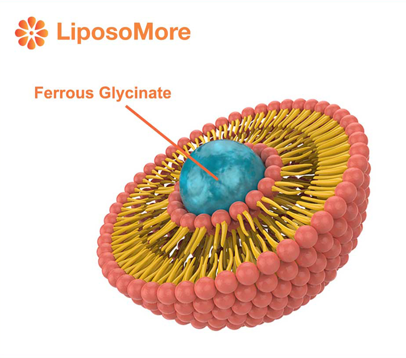 Biodisponibilidade significativamente melhorada para suplementação eficiente