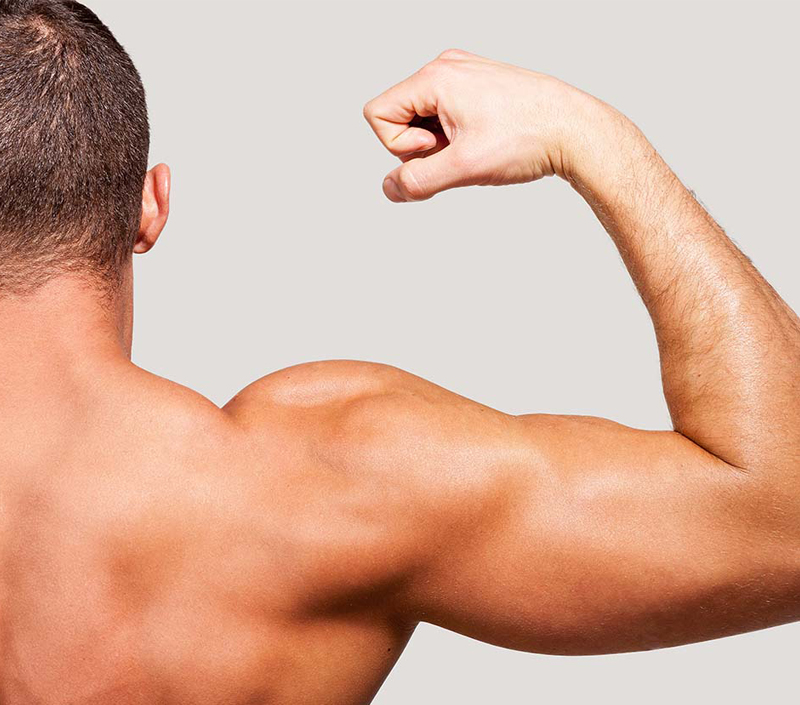 Suporta Função Muscular e Recuperação Física