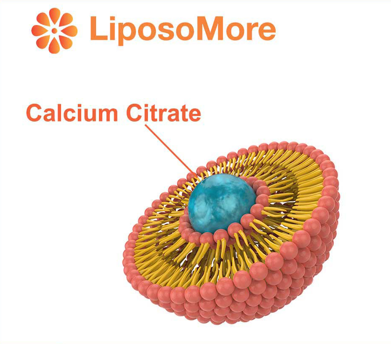 Biodisponibilidade superior através da entrega lipossomal