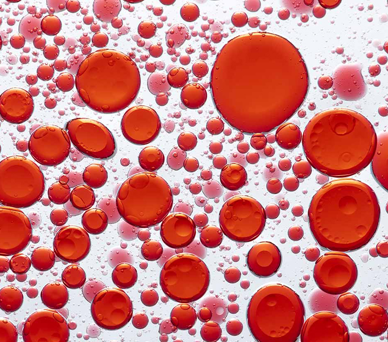 Suporta Formação de Células Sanguíneas Vermelhas e Transporte de Oxigênio