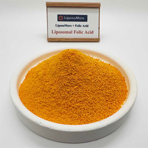 Ácido Fólico Lipossomal