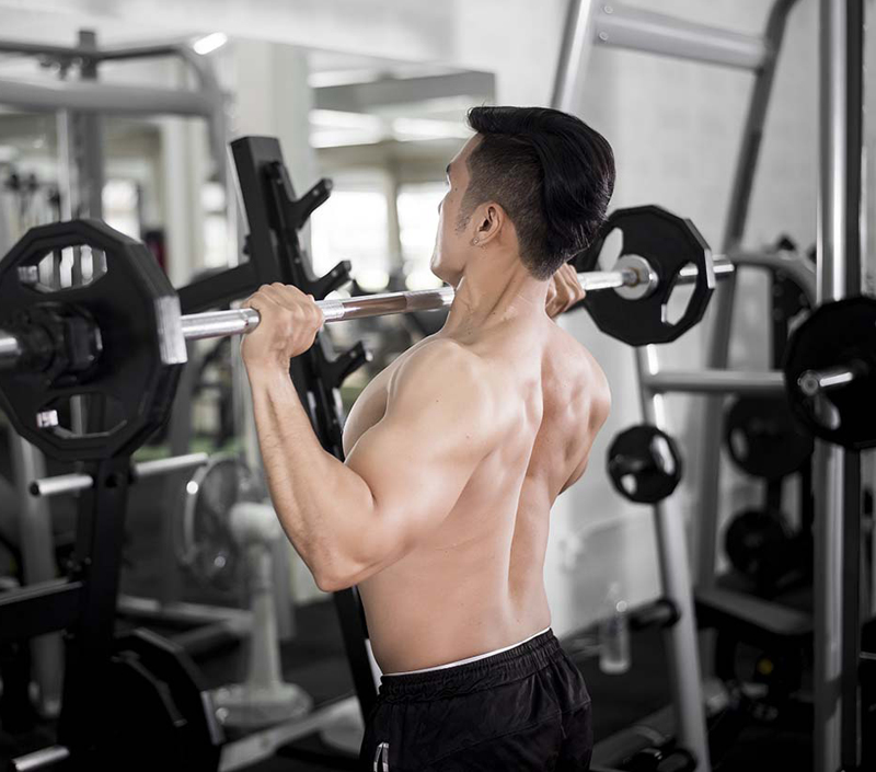 Apoia o crescimento do músculo e a atividade anabólica