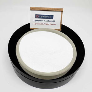 L-Valina Lipossomal
