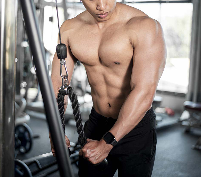 Apoia o crescimento e a recuperação do músculo