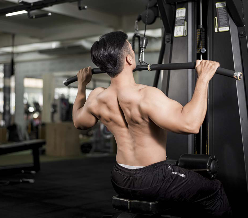 Suporta Funções Celulares e Musculares