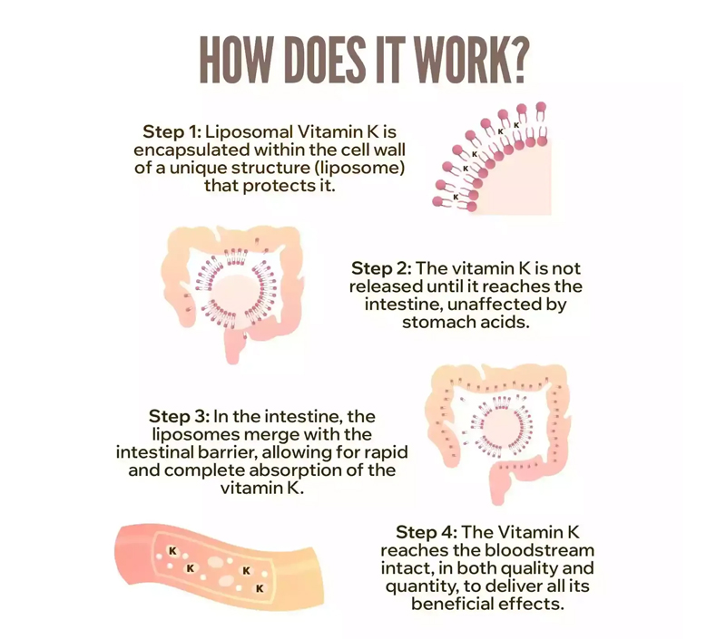 Biodisponibilidade superior para melhor absorção