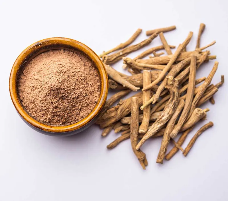 Recurso de bem-estar holístico e com rótulo limpo