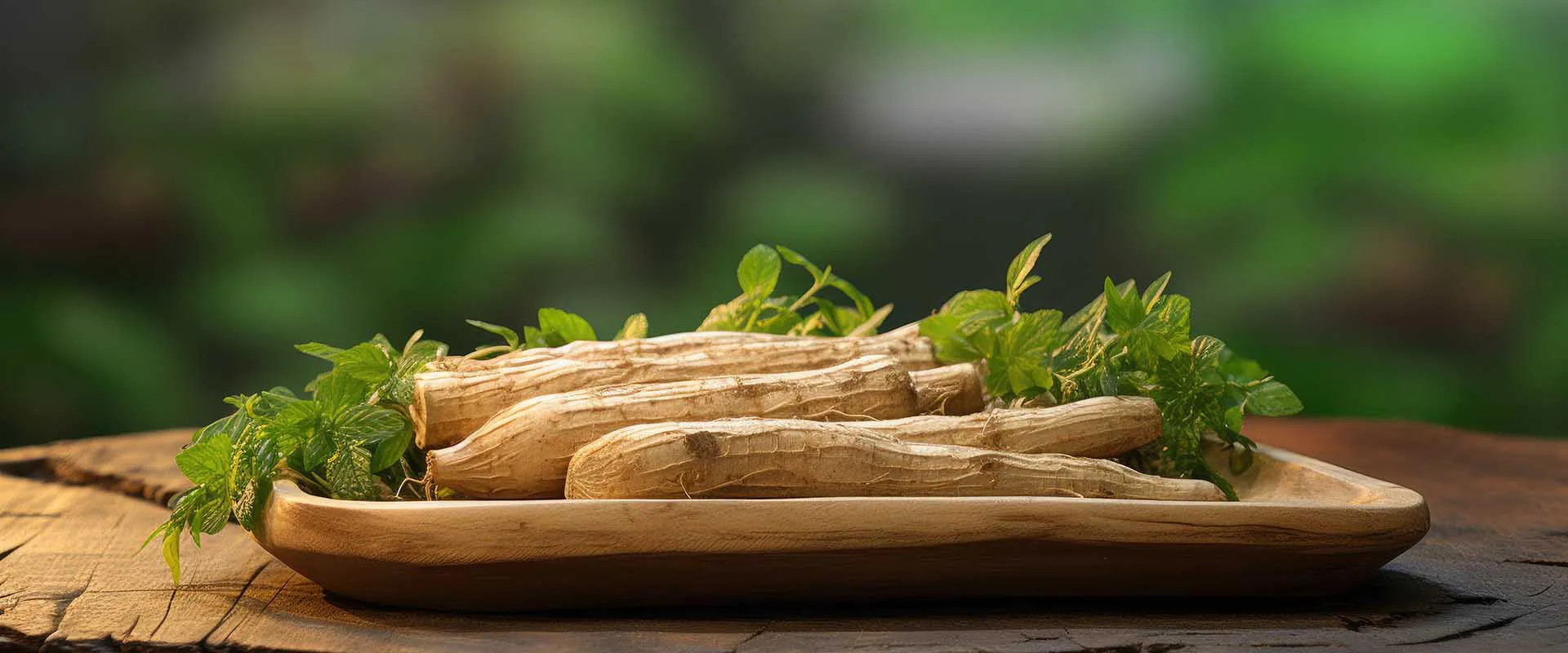 Características Lipossomais Ashwagandha