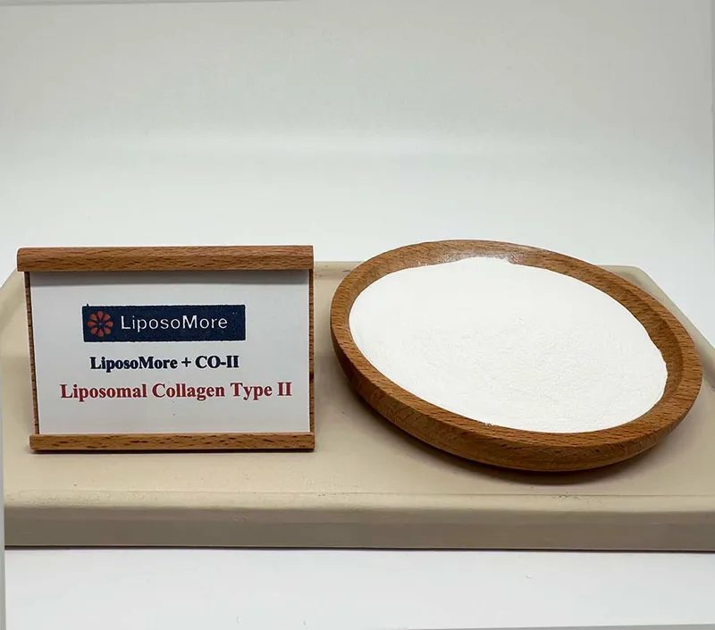 Suporte de cartilagem superior