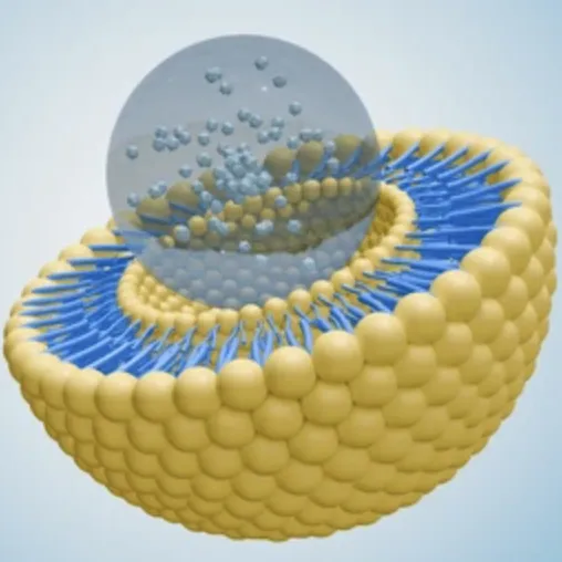 Microencapsulamento vs tecnologia lipossômica: qual é melhor para suplementos dietéticos?